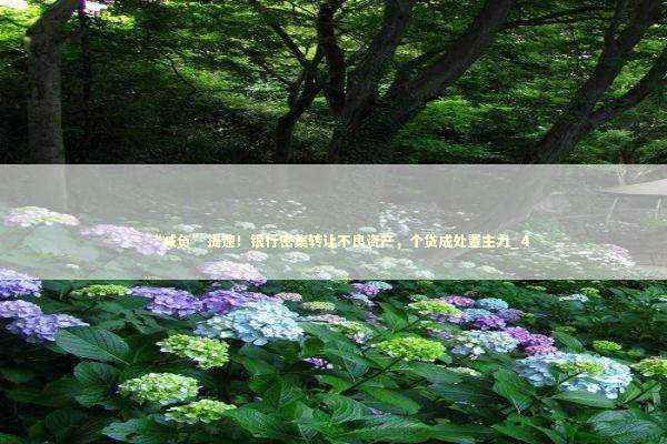 “减负”提速！银行密集转让不良资产，个贷成处置主力_4 新闻