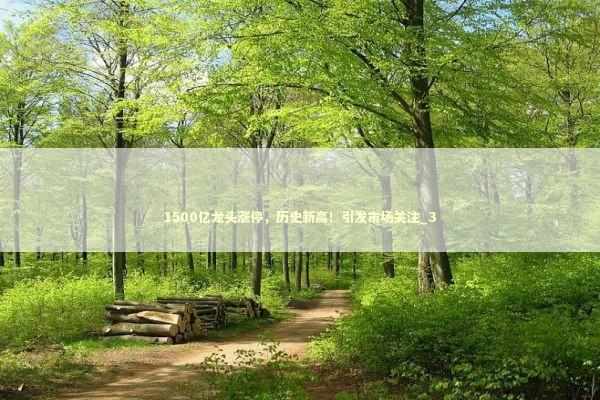 1500亿龙头涨停，历史新高！引发市场关注_3