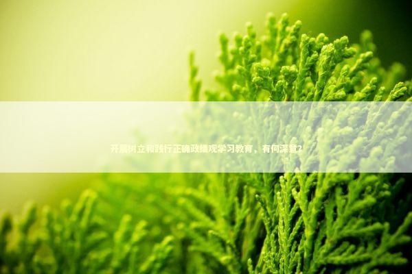 开展树立和践行正确政绩观学习教育，有何深意？ 新闻