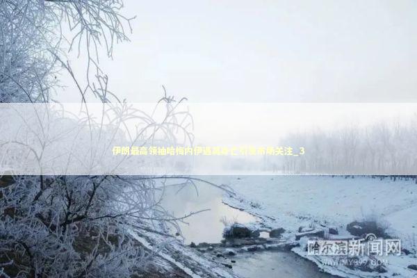 伊朗最高领袖哈梅内伊遇袭身亡引发市场关注_3 伊朗最高领袖哈梅内伊遇袭身亡引发市场关注_3 新闻