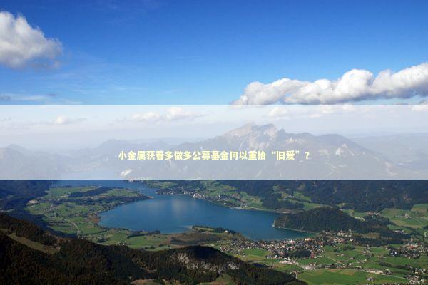 小金属获看多做多公募基金何以重拾“旧爱”？ 新闻