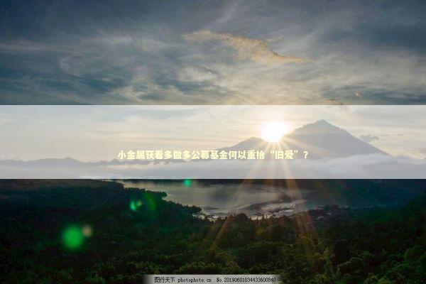 小金属获看多做多公募基金何以重拾“旧爱”？ 新闻