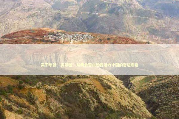 实干绘就“实景图”从两会窗口透视活力中国的奋进底色 新闻