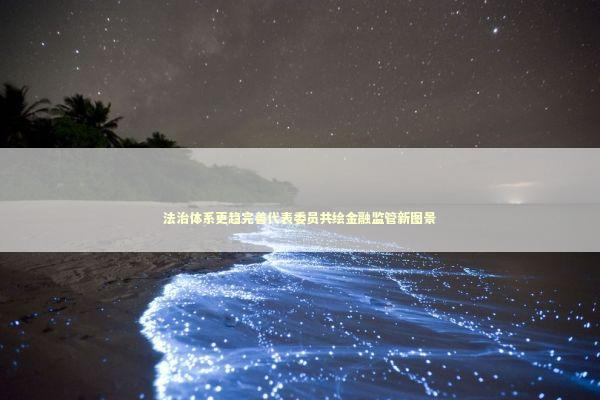 法治体系更趋完善代表委员共绘金融监管新图景 新闻