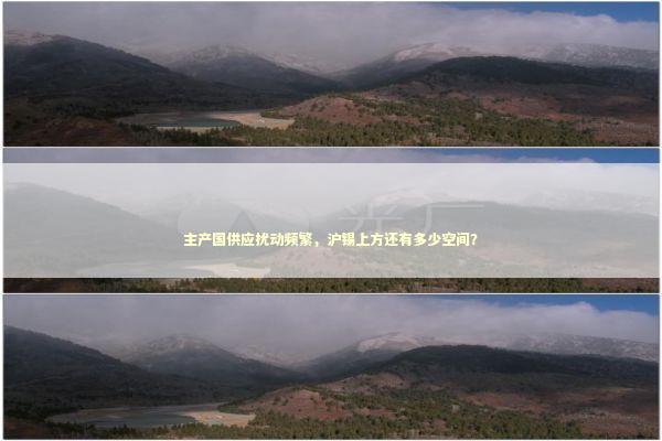 主产国供应扰动频繁，沪锡上方还有多少空间？ 新闻