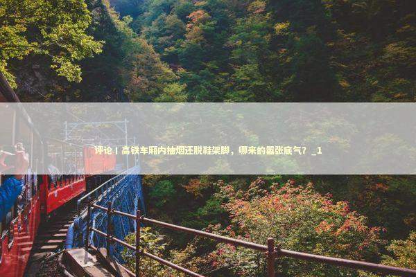 评论丨高铁车厢内抽烟还脱鞋架脚，哪来的嚣张底气？_1 新闻