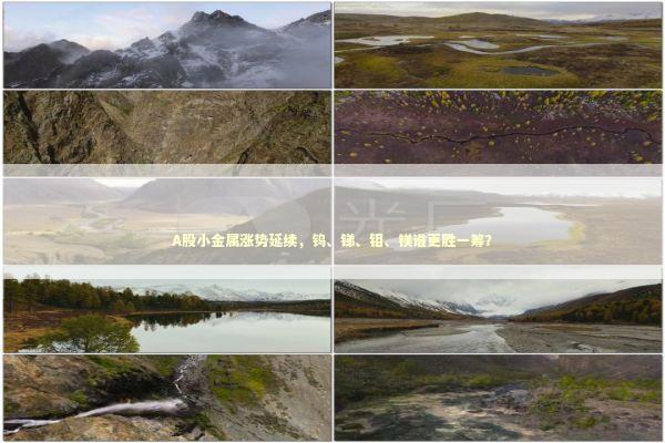 A股小金属涨势延续,钨、锑、钼、镁谁更胜一筹? A股小金属涨势延续,钨、锑、钼、镁谁更胜一筹? 新闻