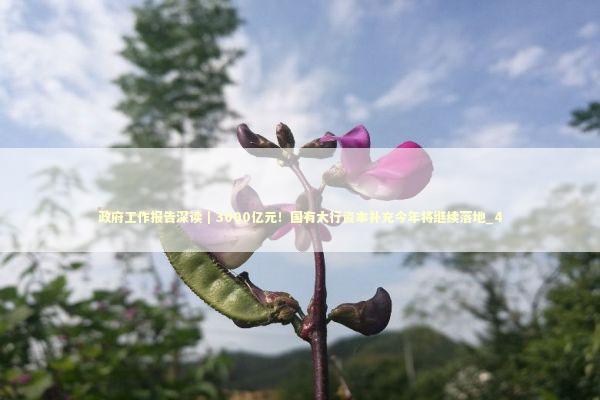 政府工作报告深读｜3000亿元！国有大行资本补充今年将继续落地_4 新闻