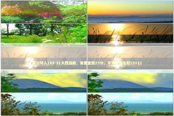 凯尔特人108-81大胜雄鹿，普里查德25分，字母哥复出取19+11 新闻