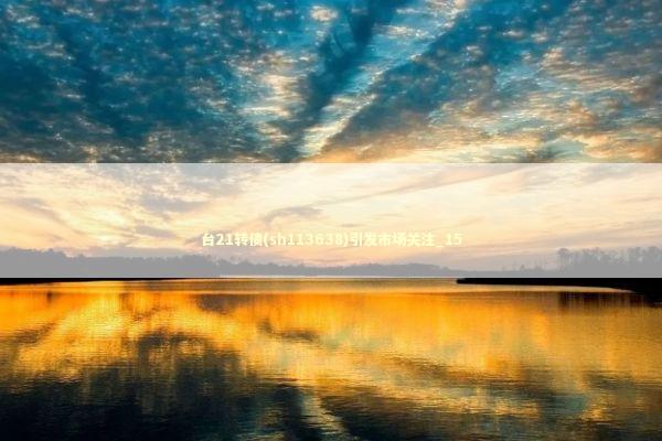 台21转债(sh113638)引发市场关注_15 新闻