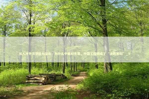 从人才外流到能力溢出:为什么中美AI竞赛,中国工程师成了“决胜筹码”_5 从人才外流到能力溢出:为什么中美AI竞赛,中国工程师成了“决胜筹码”_5 新闻