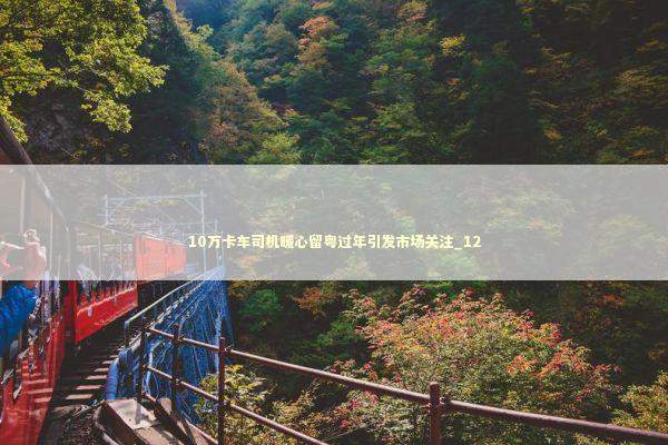 10万卡车司机暖心留粤过年引发市场关注_12 10万卡车司机暖心留粤过年引发市场关注_12 新闻