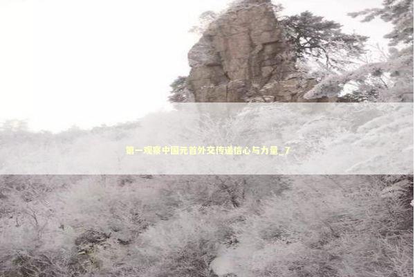第一观察中国元首外交传递信心与力量_7 第一观察中国元首外交传递信心与力量_7 新闻