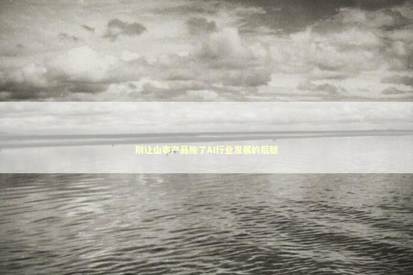 别让山寨产品拖了AI行业发展的后腿 别让山寨产品拖了AI行业发展的后腿 新闻