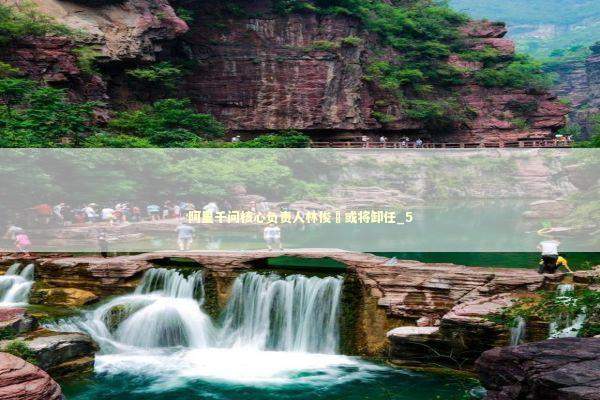 阿里千问核心负责人林俊旸或将卸任_5 新闻