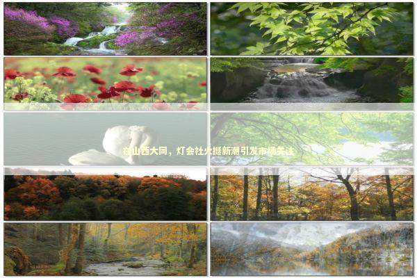 在山西大同,灯会社火挺新潮引发市场关注 在山西大同,灯会社火挺新潮引发市场关注 新闻