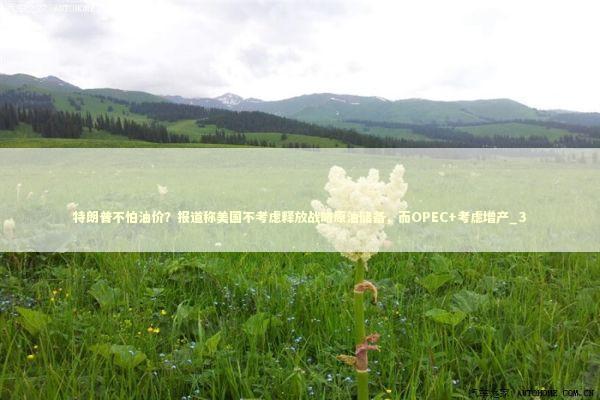 特朗普不怕油价?报道称美国不考虑释放战略原油储备,而OPEC+考虑增产_3 特朗普不怕油价?报道称美国不考虑释放战略原油储备,而OPEC+考虑增产_3 新闻