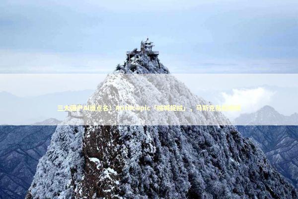 三大国产AI遭点名！Anthropic「贼喊捉贼」，马斯克贴脸嘲讽 新闻