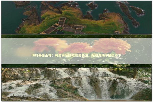 博时基金王祥：黄金再获避险资金关注，短期波动率居高不下