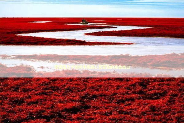 现实压力下如何寻找到心灵冒险的完美出口 现实压力下如何寻找到心灵冒险的完美出口 新闻