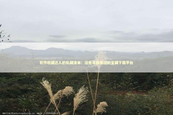 软件收藏达人的私藏清单：这些年我用过的宝藏下载平台