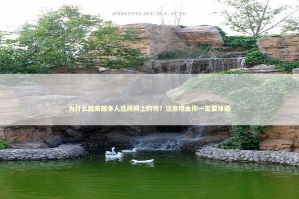 为什么越来越多人选择网上购物？这些理由你一定要知道