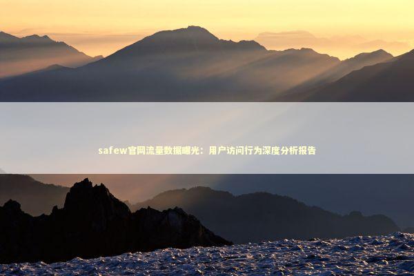 safew官网流量数据曝光：用户访问行为深度分析报告